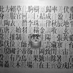 N53-A17-P01 N53-A17-P01